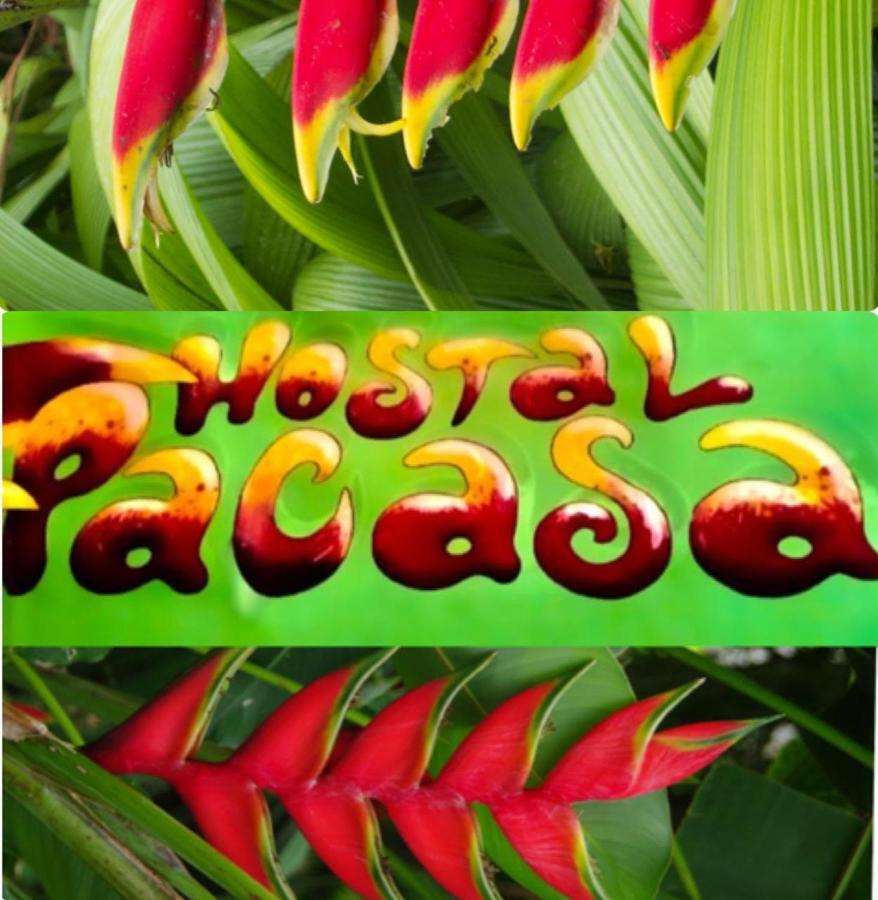 Pacasa Hostel Давид Экстерьер фото