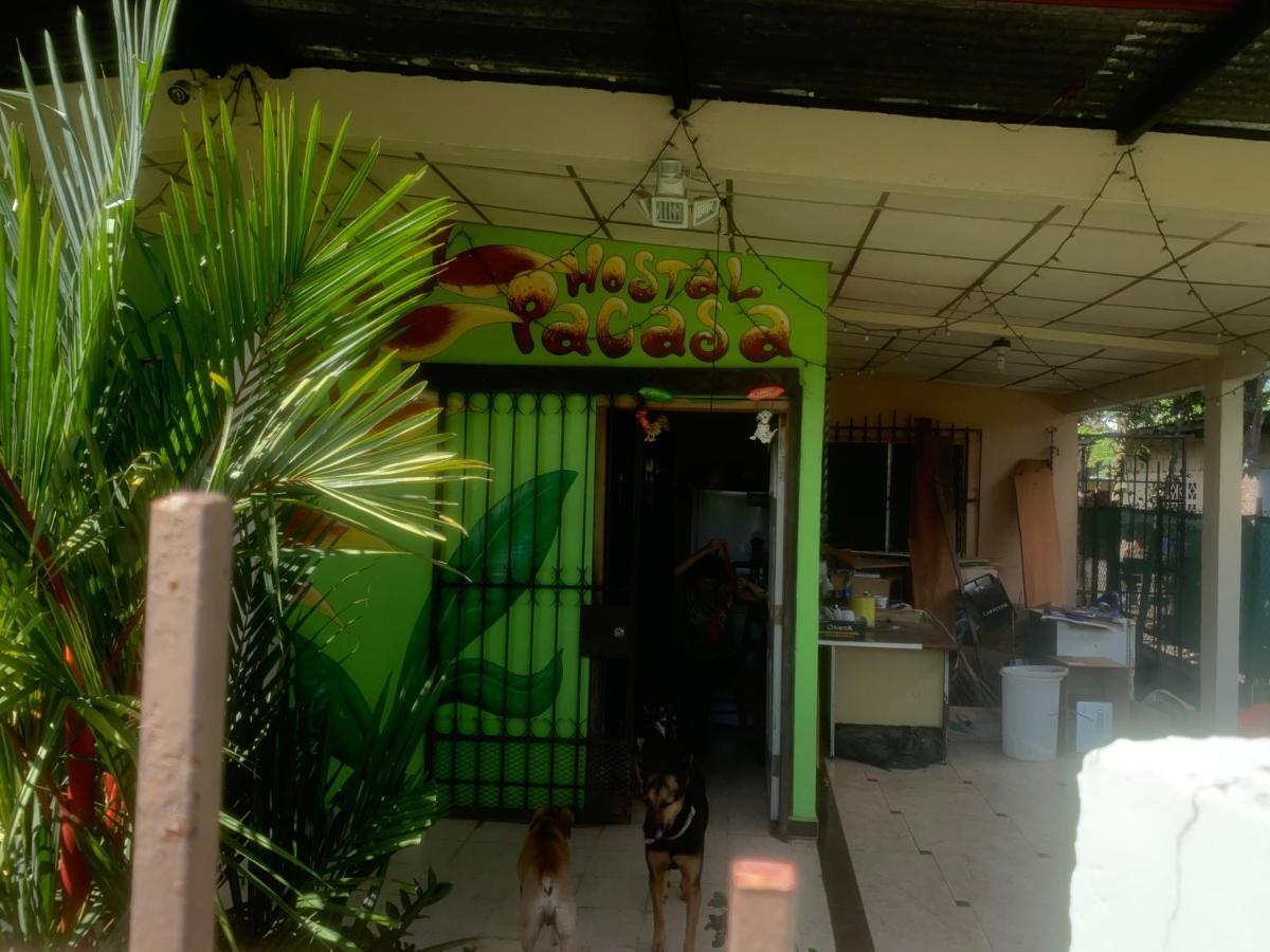 Pacasa Hostel Давид Экстерьер фото